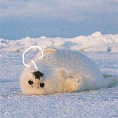 一组叹气头像～ 生活不易 憨憨叹气_高清图集_新浪网