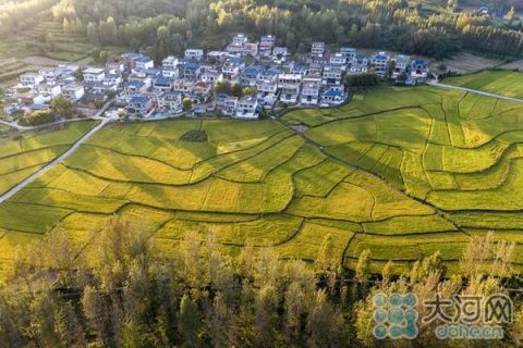 鲁山华兴上林苑与鲁南医院规划位置在哪里 鲁山幸福城三期有哪些小学 鲁山之窗值得买吗