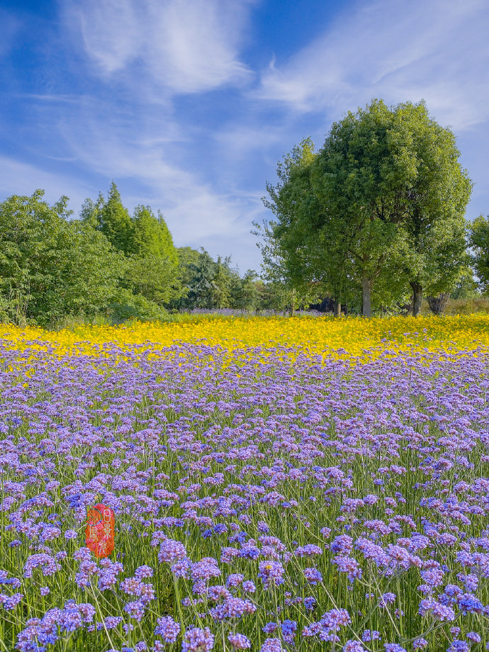 南京 南京高淳国际慢城神似油画的场景 财经头条