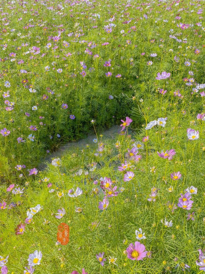 南京 南京高淳国际慢城神似油画的场景 财经头条