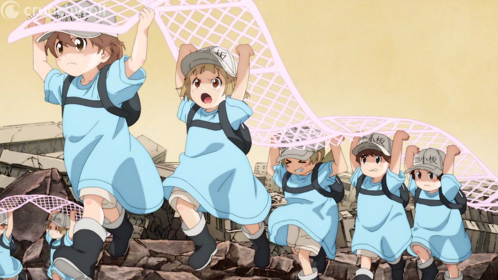 第2季,努力工作的血小板,太可爱了_高清图集_新浪网