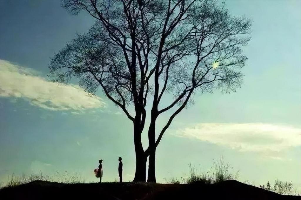 读首诗再睡觉|你失了那一场约定,我将第一场雪关在了窗外休闲区蓝鸢梦想 - Www.slyday.coM 读首诗再睡觉|你失了那一场约定,我将第一场雪关在了窗外休闲区蓝鸢梦想 - Www.slyday.coM