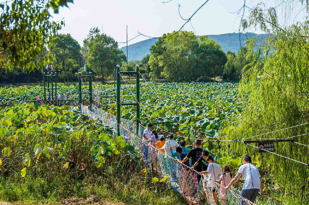 親子大樂園——金龍水寨生態園