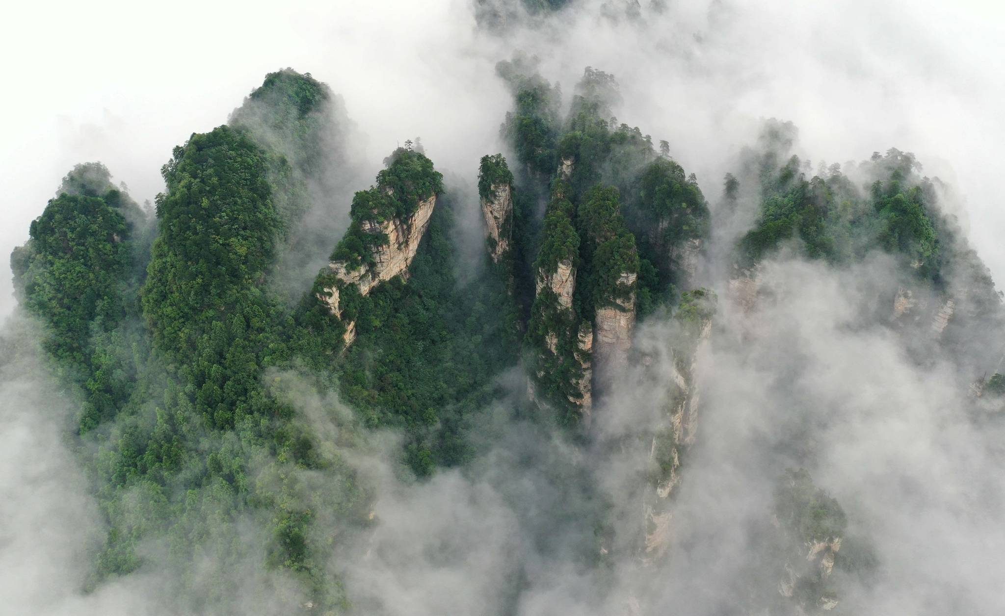 这是8月28日在张家界武陵源景区黄石寨拍摄的云海景观(无人机照片).
