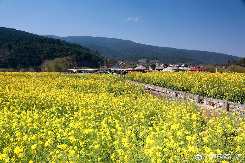 昆明安宁金色螳螂川@镜界 @内拉在路上