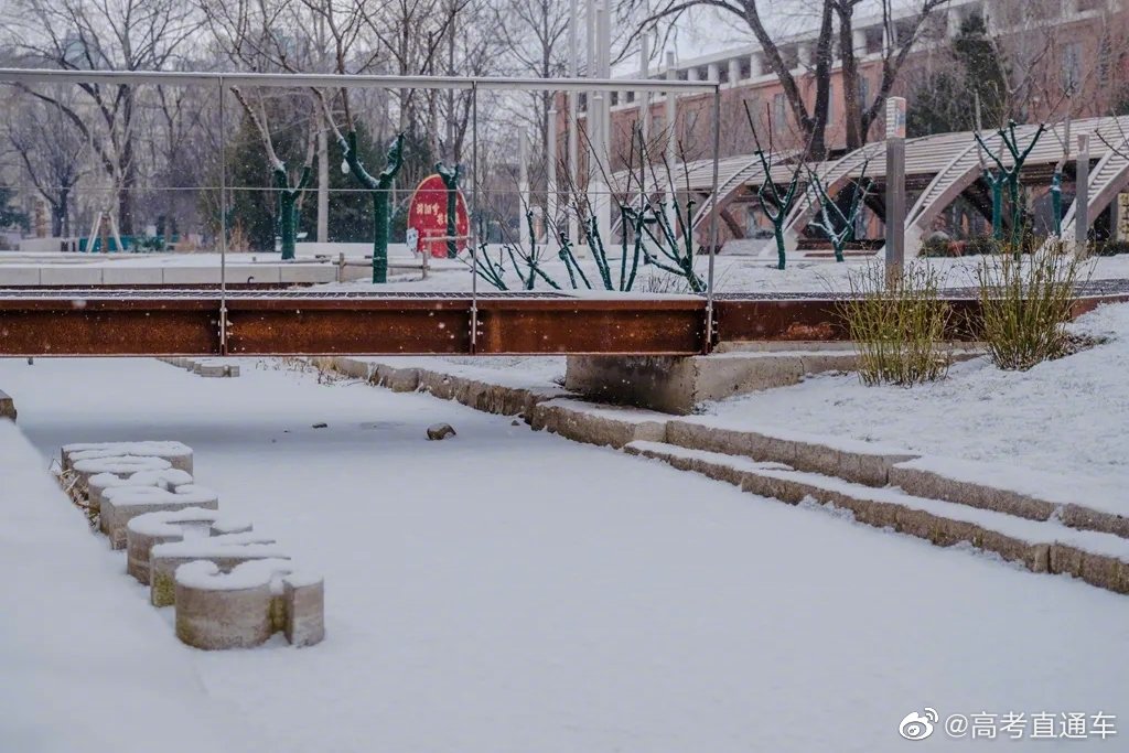 校园风景北京林业大学