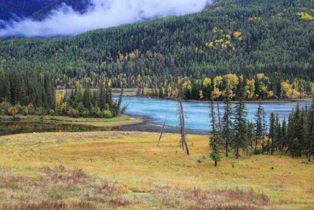 总要在秋天去一次北疆吧!一年仅3周的秋色,惊艳回归休闲区蓝鸢梦想 - Www.slyday.coM 总要在秋天去一次北疆吧!一年仅3周的秋色,惊艳回归休闲区蓝鸢梦想 - Www.slyday.coM