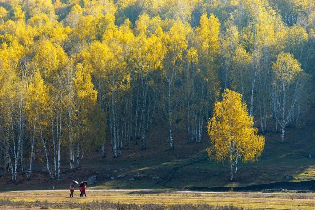 总要在秋天去一次北疆吧!一年仅3周的秋色,惊艳回归休闲区蓝鸢梦想 - Www.slyday.coM 总要在秋天去一次北疆吧!一年仅3周的秋色,惊艳回归休闲区蓝鸢梦想 - Www.slyday.coM