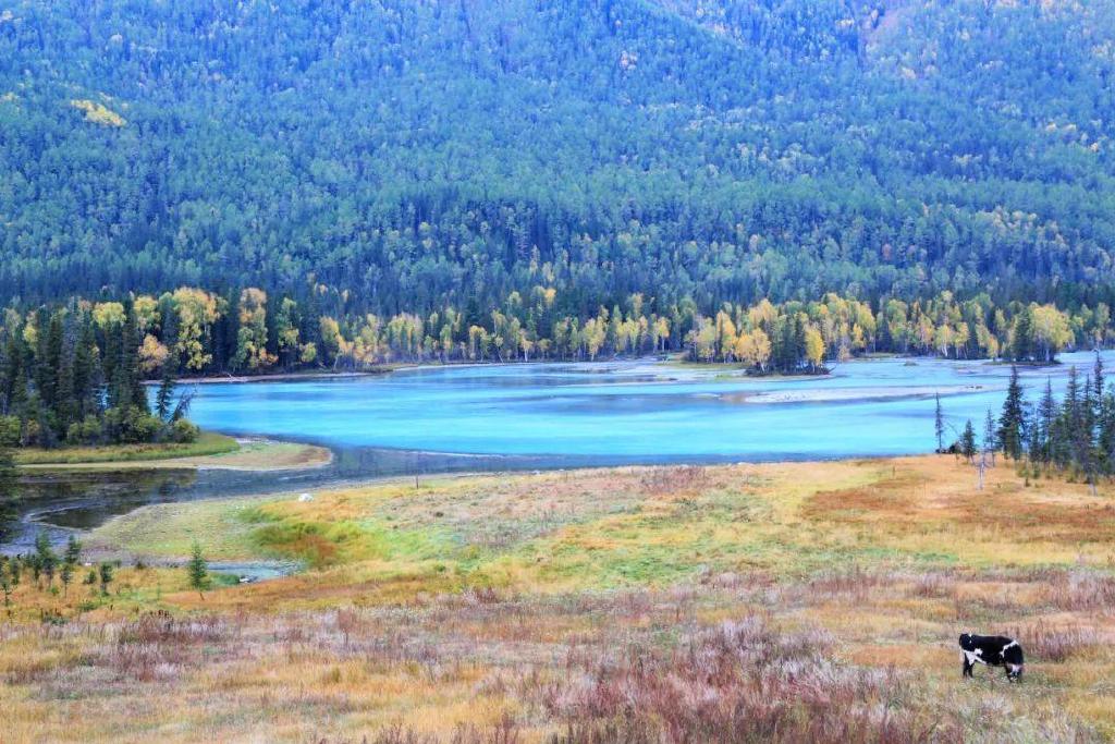 总要在秋天去一次北疆吧!一年仅3周的秋色,惊艳回归休闲区蓝鸢梦想 - Www.slyday.coM 总要在秋天去一次北疆吧!一年仅3周的秋色,惊艳回归休闲区蓝鸢梦想 - Www.slyday.coM