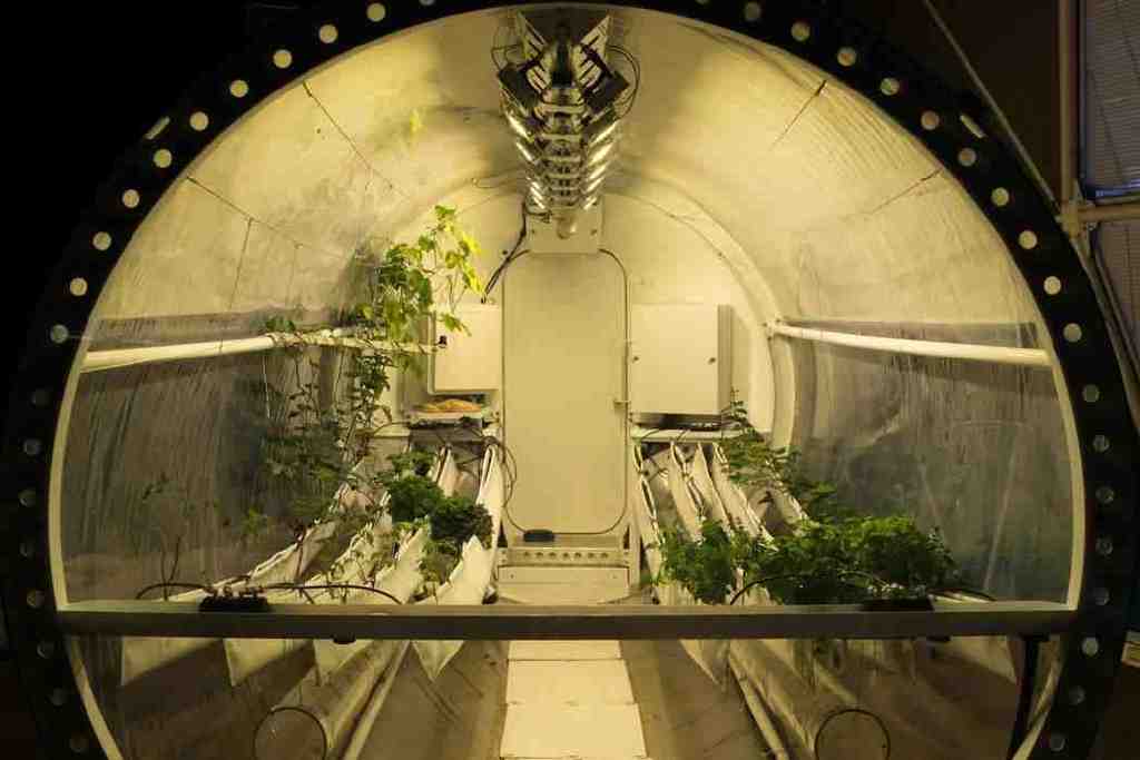 失败的生物圈实验,意味着人类无法建造生态循环,只能留在地球|生物圈