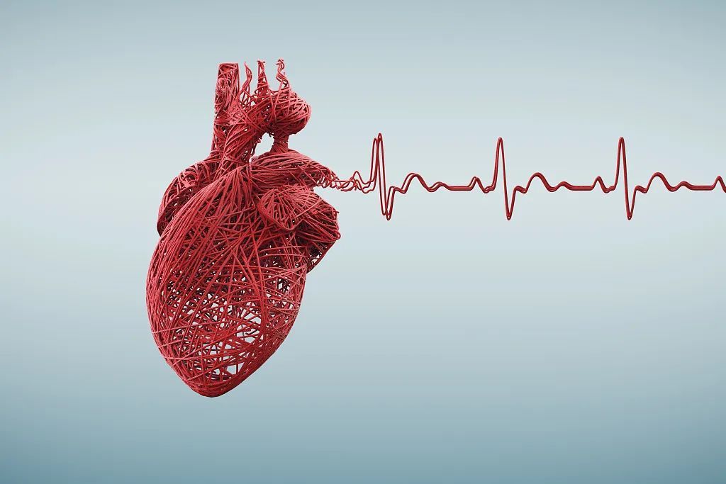心脏也有自己的生物钟小心熬夜会致命