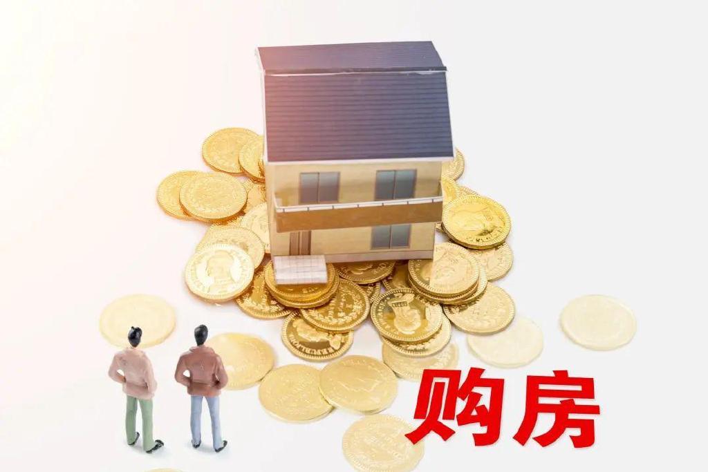 都急了，年轻人报复性存钱，建议拿1/3存款买房的专家回应了休闲区蓝鸢梦想 - Www.slyday.coM