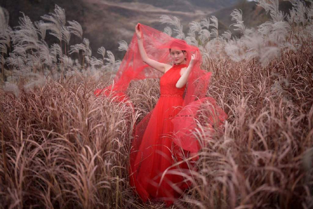 读首诗再睡觉|你失了那一场约定,我将第一场雪关在了窗外休闲区蓝鸢梦想 - Www.slyday.coM 读首诗再睡觉|你失了那一场约定,我将第一场雪关在了窗外休闲区蓝鸢梦想 - Www.slyday.coM