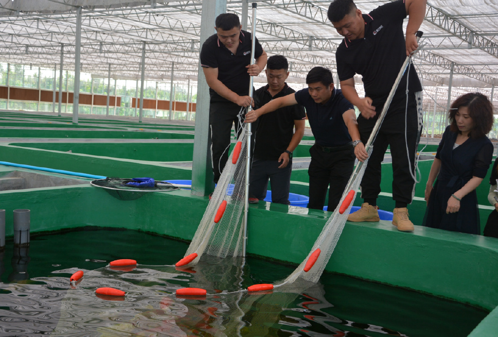 非凡十年·我们的新时代⑦|一条58万元!小村庄里养出了“锦鲤王”休闲区蓝鸢梦想 - Www.slyday.coM 非凡十年·我们的新时代⑦|一条58万元!小村庄里养出了“锦鲤王”休闲区蓝鸢梦想 - Www.slyday.coM