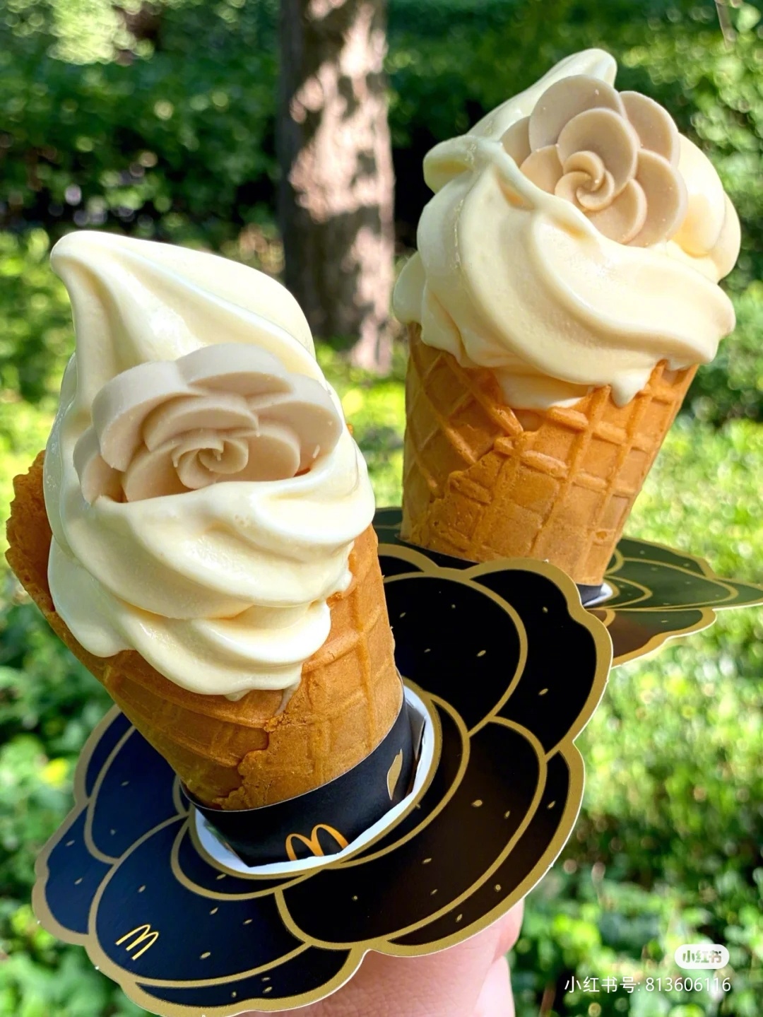 麦当劳出新品啦! 这个山茶花风味的冰激凌颜值也太高了吧!