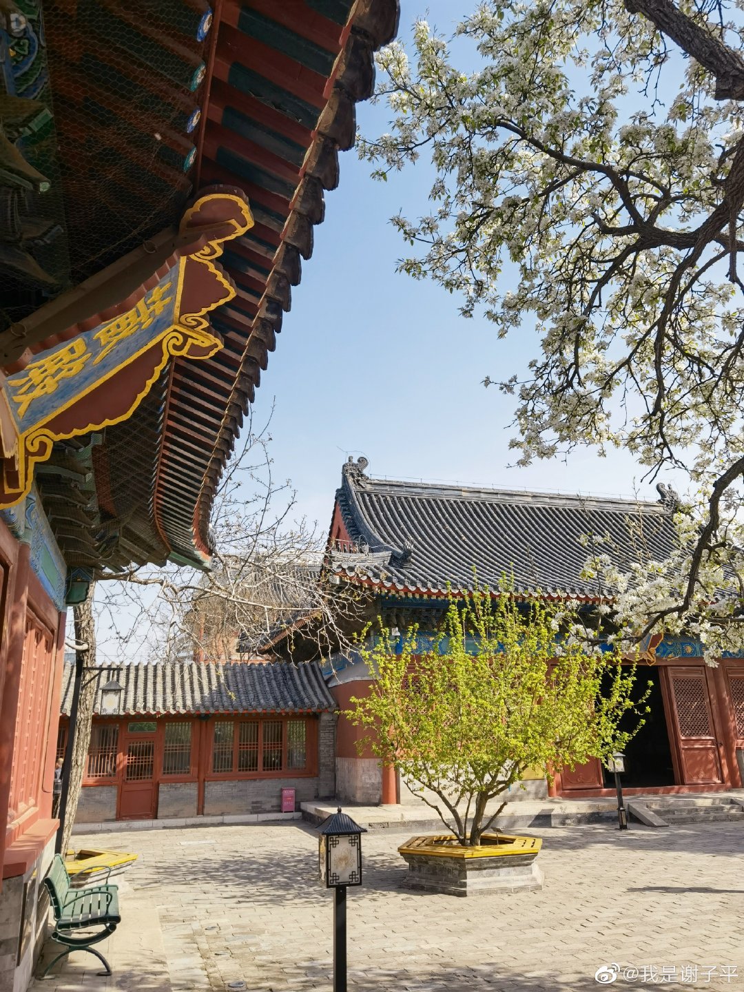 北京智化寺
