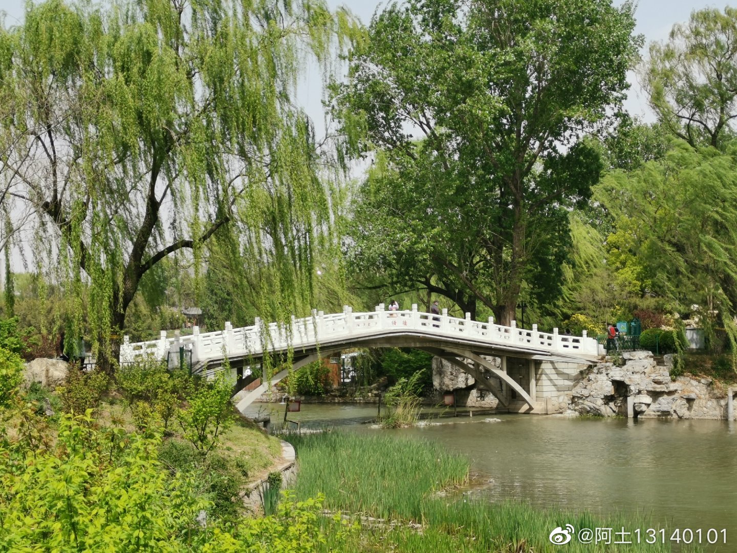 紫竹院公园：江南园林特色的大型公园