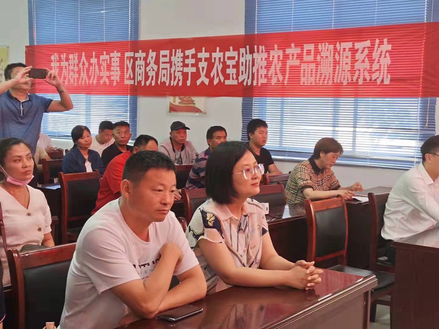 支农宝创始人杨超在李帽头村小青菜基地,现场指导农民利用支农宝溯源