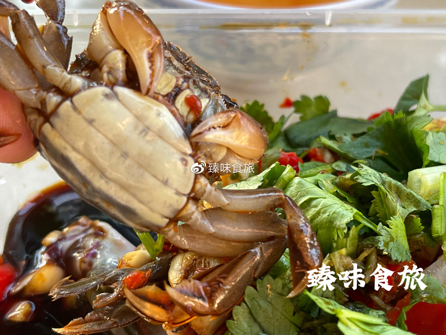 生腌海鲜,潮汕土著的吃法,你学对了吗?|海鲜|潮汕|搜图_新浪新闻