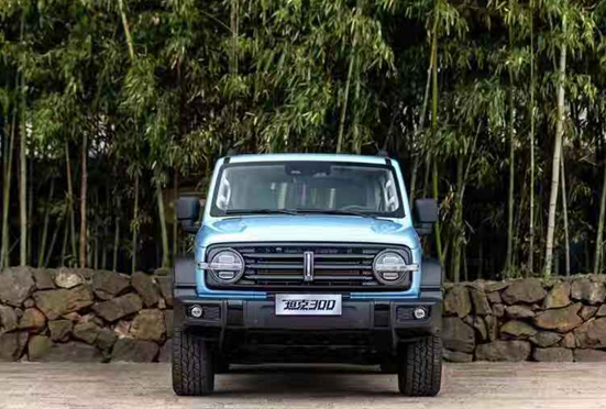 长城旗下的两款高端SUV 设计与性能兼备