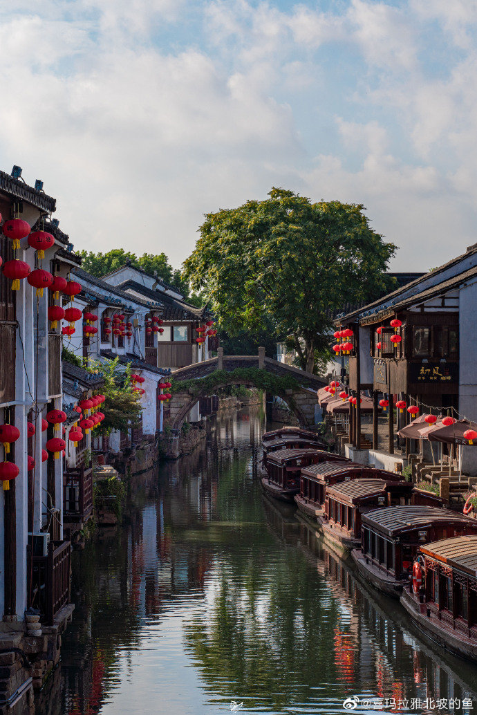 苏州山塘街里的烟火气
