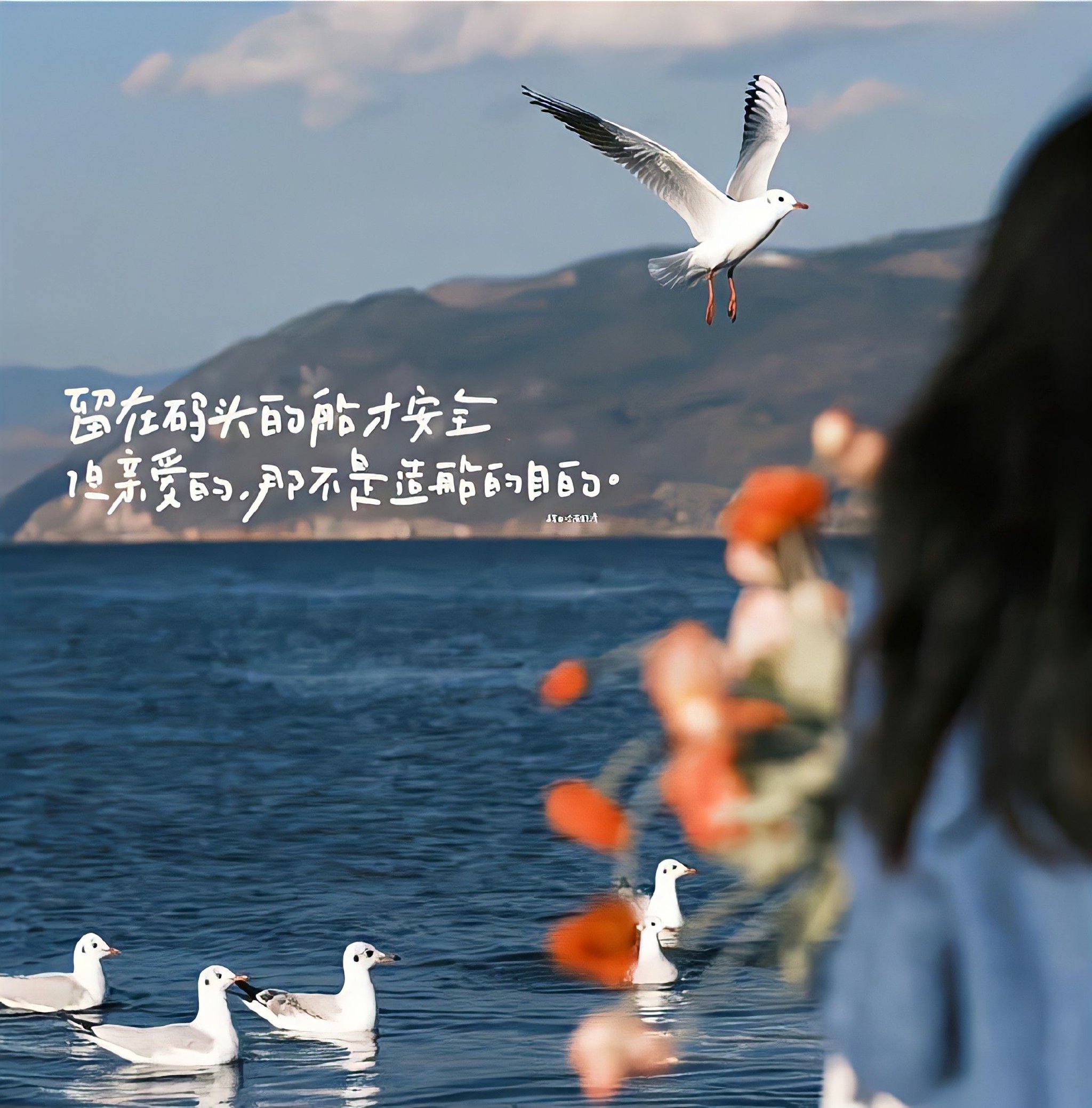 文字ipad电脑壁纸