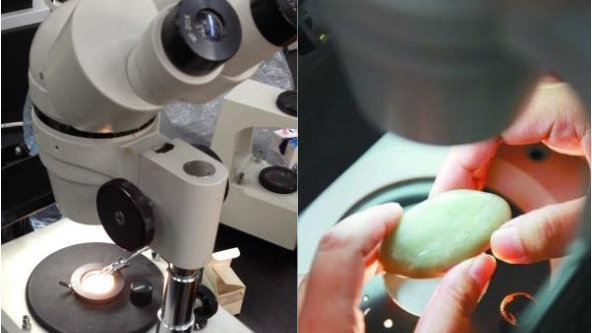 可以鉴定手表吗？