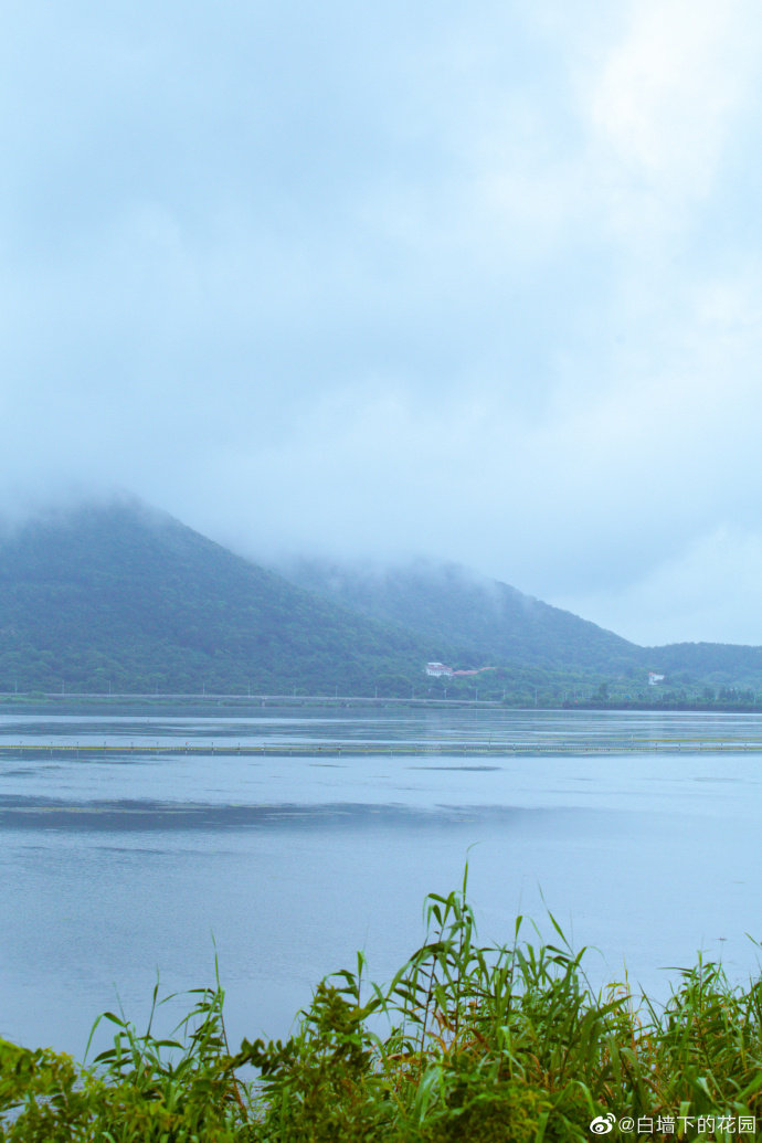 苏州太湖冲山岛,雨天适合想念_高清图集_新浪网