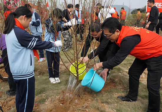 桂林团市委联合多家单位开展植树节活动|永福县|活动|冯烁_新浪新闻