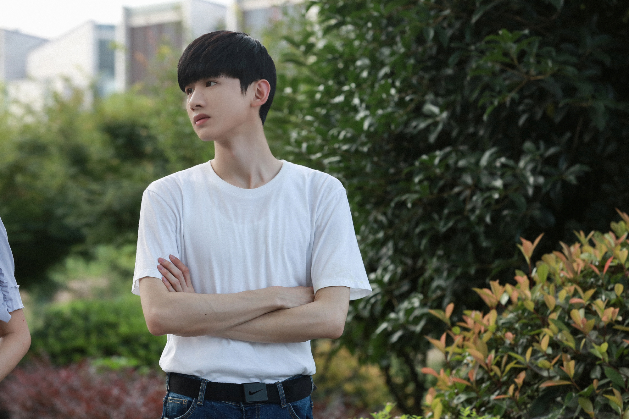 还是那个白衣少年,在《与晨同光》里扮演的角色李洛书