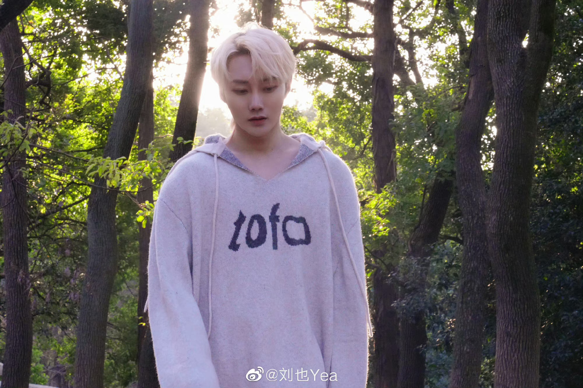 刘也晒金发九宫格,灰色毛衣休闲帅气 阳光下的金发好耀眼……__财经头条