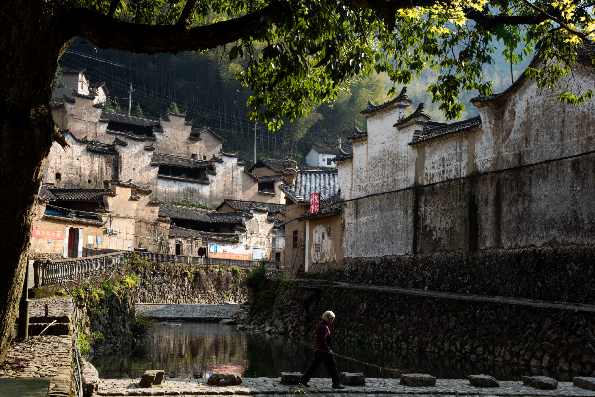 浙江松阳县黄岭根村,去过松阳县所有古村中最美最原始的一个……_高清