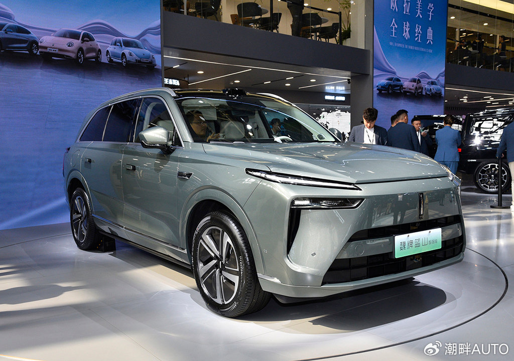 刚需家庭购车新选择 30万左右大六座新能源suv推荐