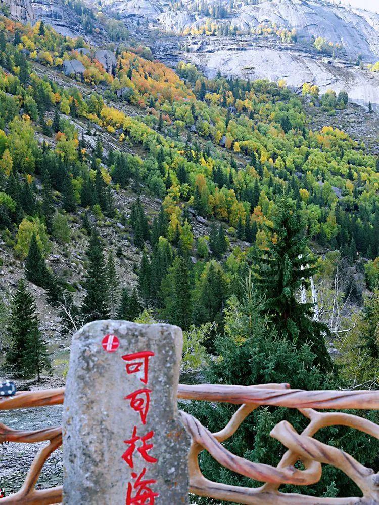总要在秋天去一次北疆吧!一年仅3周的秋色,惊艳回归休闲区蓝鸢梦想 - Www.slyday.coM 总要在秋天去一次北疆吧!一年仅3周的秋色,惊艳回归休闲区蓝鸢梦想 - Www.slyday.coM