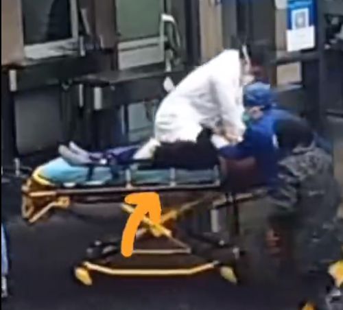【浙江身边事】丈夫带3岁娃每天到公司接妻子下班休闲区蓝鸢梦想 - Www.slyday.coM