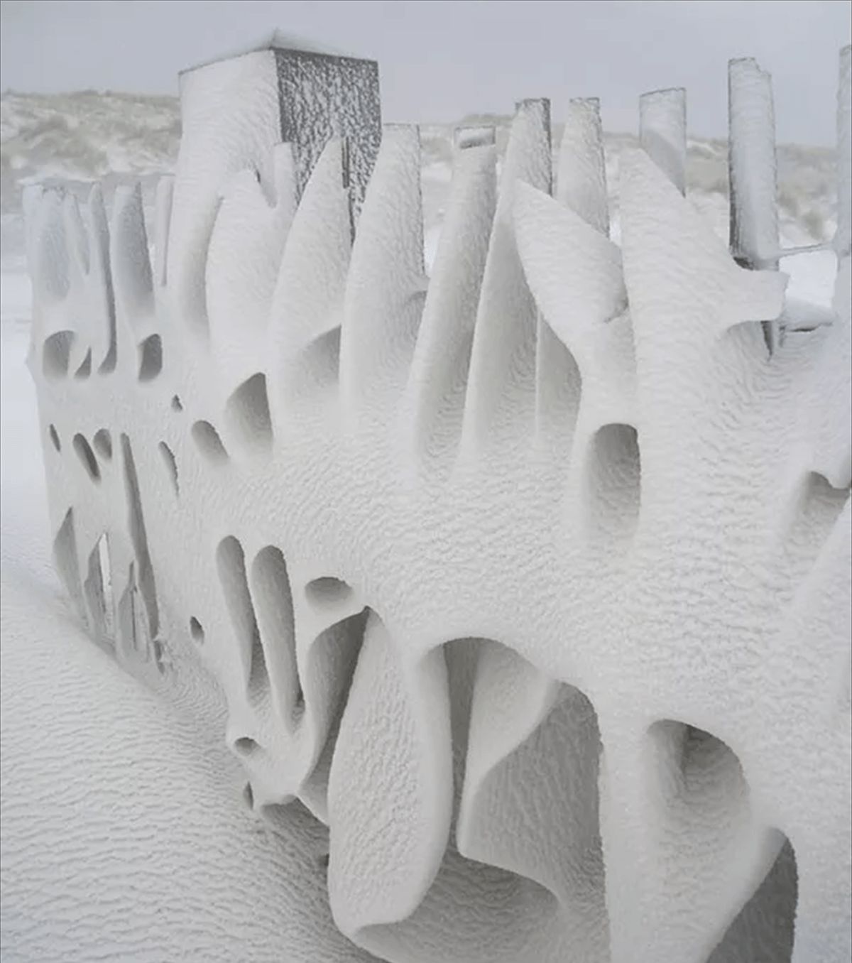 34张不可思议的照片,居然没有一张PS过休闲区蓝鸢梦想 - Www.slyday.coM 34张不可思议的照片,居然没有一张PS过休闲区蓝鸢梦想 - Www.slyday.coM