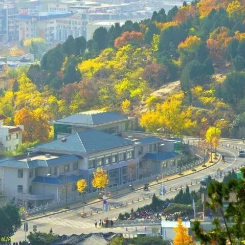 现在去正好!普照寺旁的橡树林,林染红妆美如画!关键是免费!休闲区蓝鸢梦想 - Www.slyday.coM 现在去正好!普照寺旁的橡树林,林染红妆美如画!关键是免费!休闲区蓝鸢梦想 - Www.slyday.coM