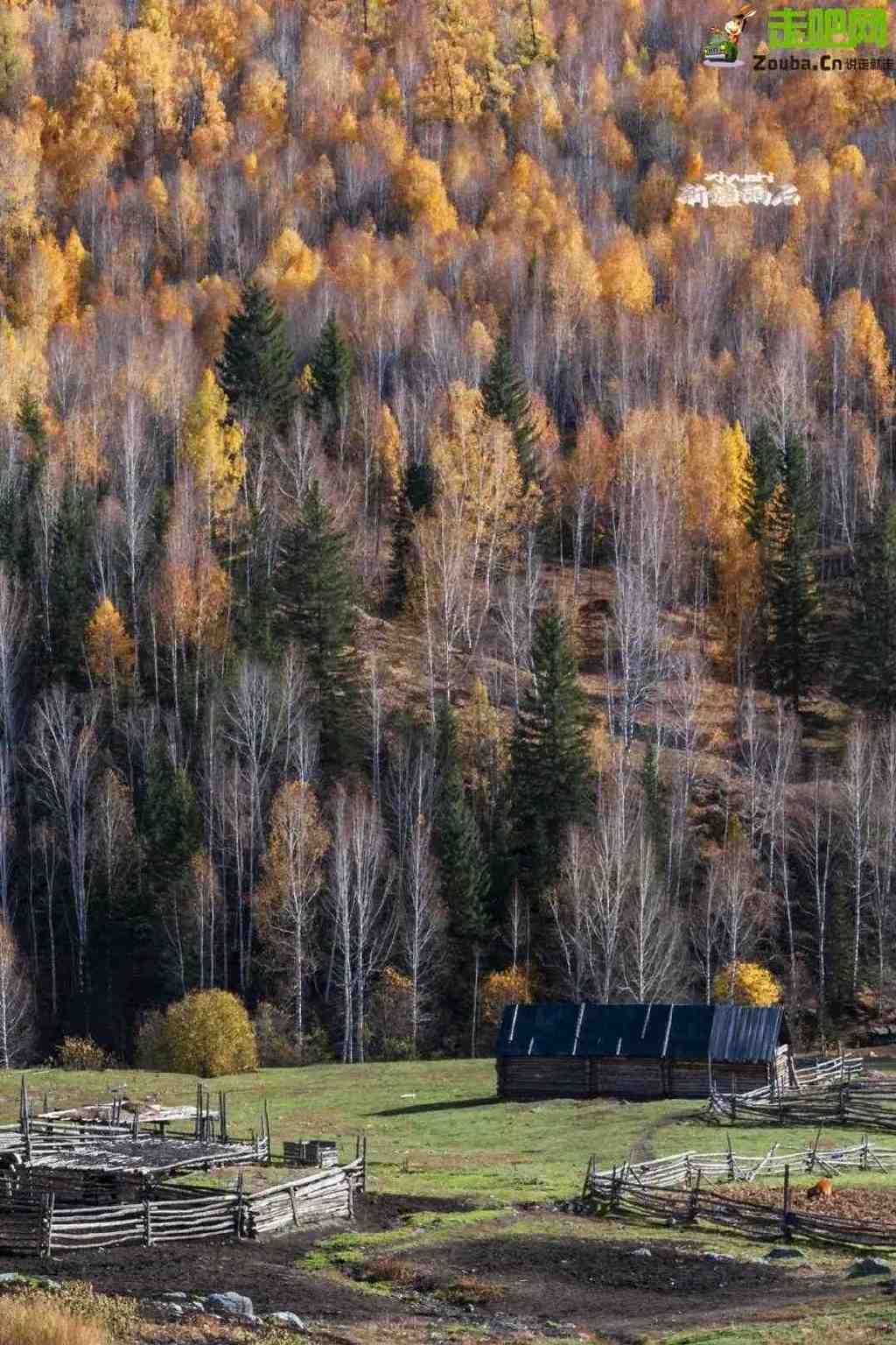 总要在秋天去一次北疆吧!一年仅3周的秋色,惊艳回归休闲区蓝鸢梦想 - Www.slyday.coM 总要在秋天去一次北疆吧!一年仅3周的秋色,惊艳回归休闲区蓝鸢梦想 - Www.slyday.coM
