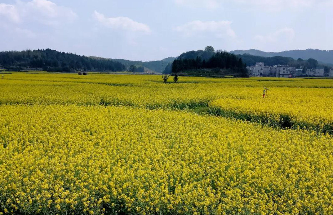 秀美洪岩镇村景如画,全域旅游迎客来