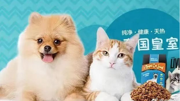 透视中宠半年报:二代郝宸龙掌舵加码国内,销售费用投放强度将维持|中宠股份|宠物|二代_新浪新闻