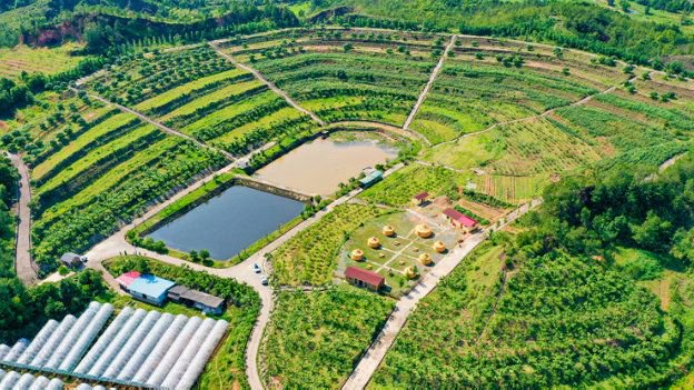 一瞥事件:赣州章贡区100元小巷子,2025年赣州章贡区100元小巷子最新地址及发展变化