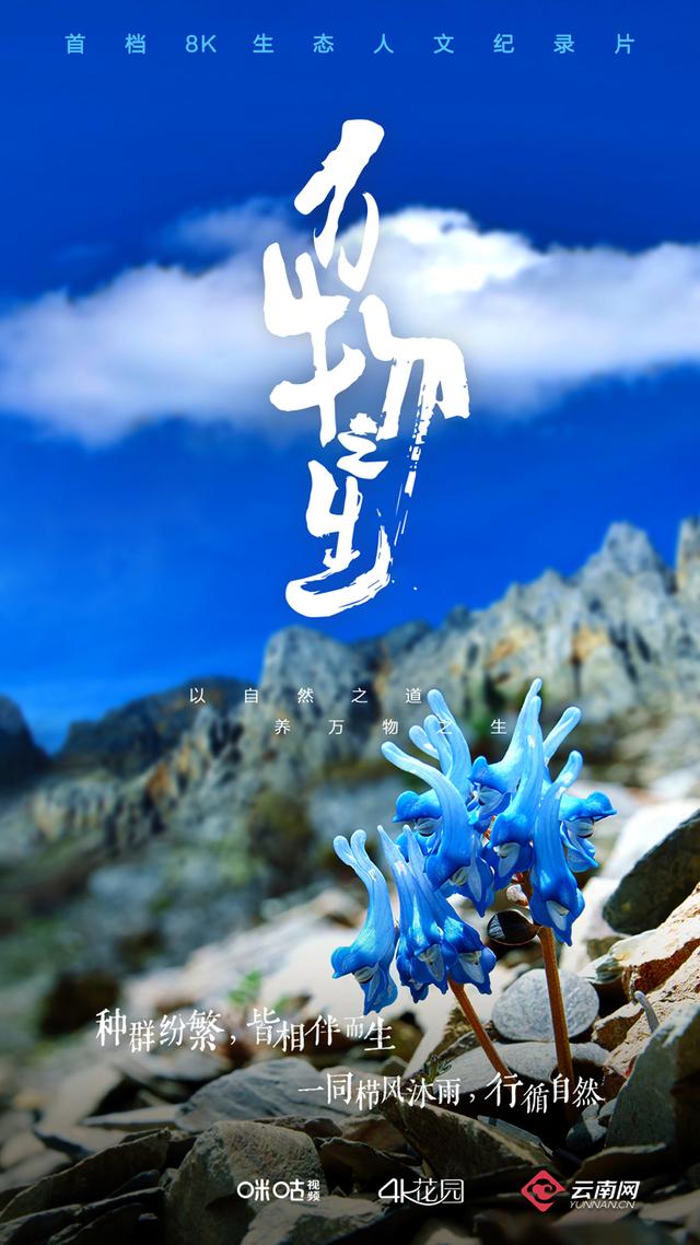 8k生态人文纪录片万物之生主宣传片上线传达生态文明共建地球生命共同