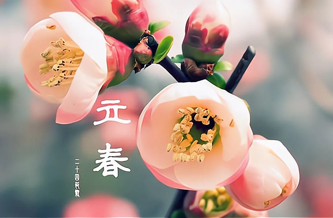 2021是无春年立春又在五九尾二者碰一起有啥说法