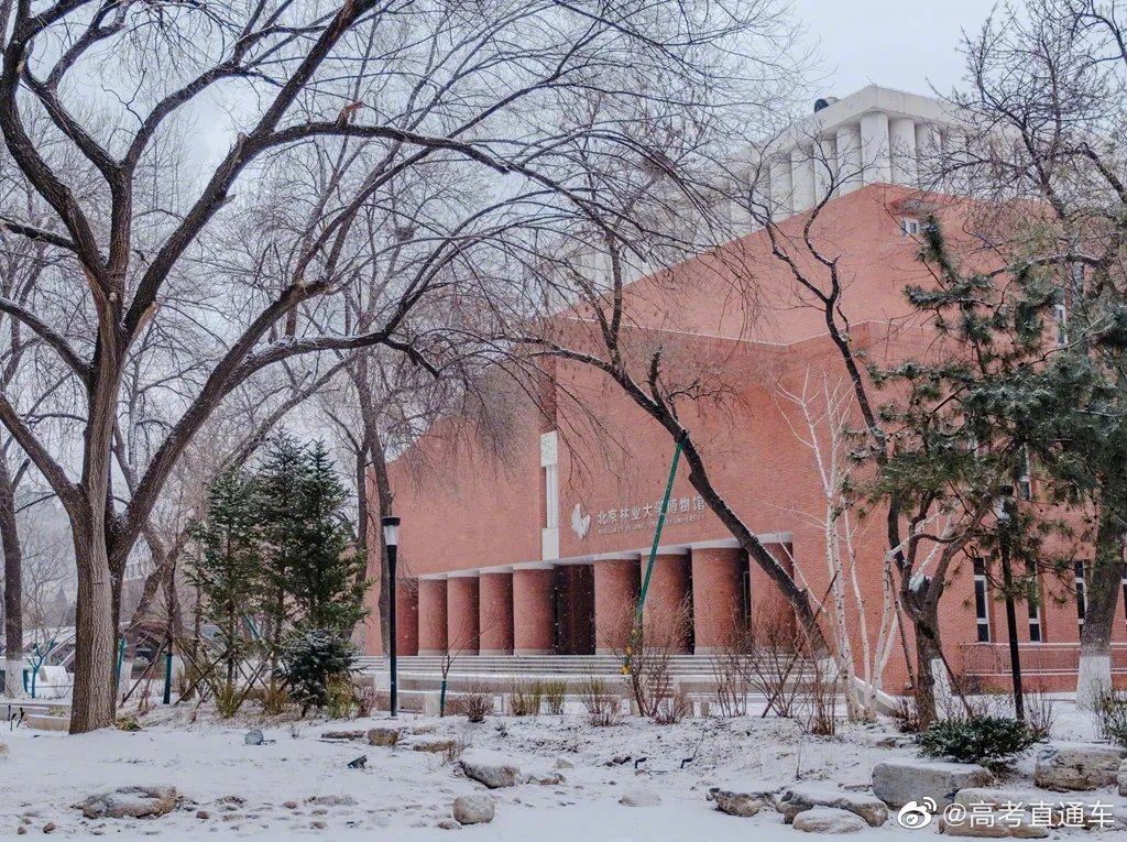 校园风景北京林业大学