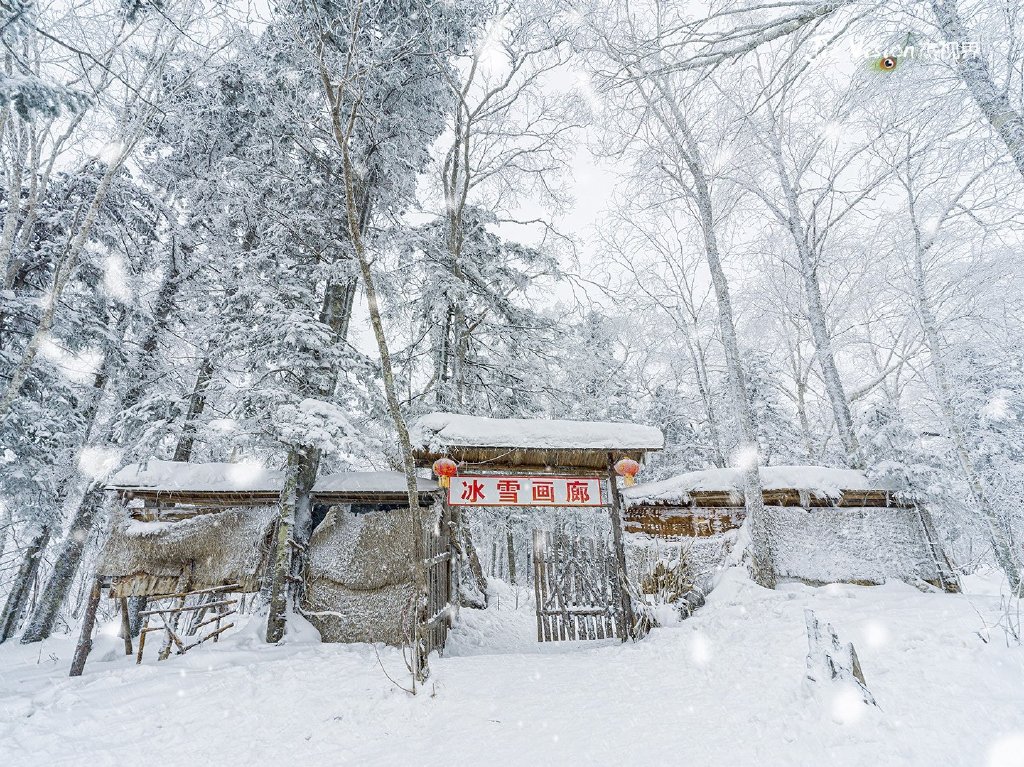 雪乡十里画廊徒步遇险“雪窝子” 但冰雪梦幻景色实在让人痴迷！|十里画廊|雪乡|冰雪_新浪新闻
