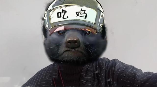 和平精英蜜獾终于要露脸了挑战不捡子弹吃鸡你试过吗