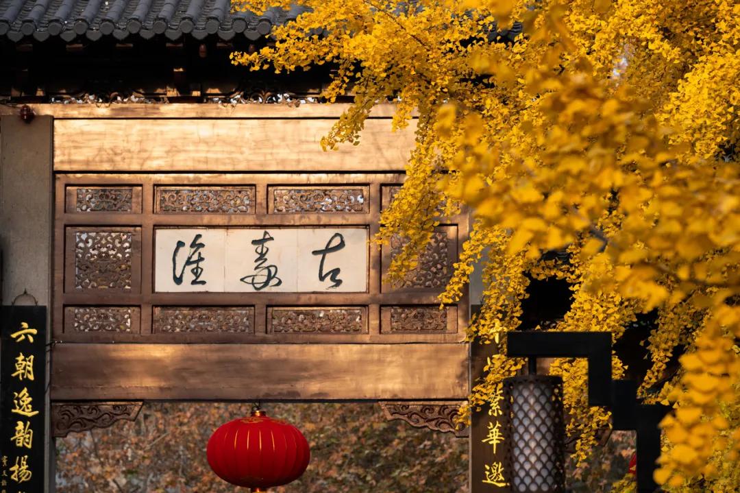 一入秋南京就变成了金陵