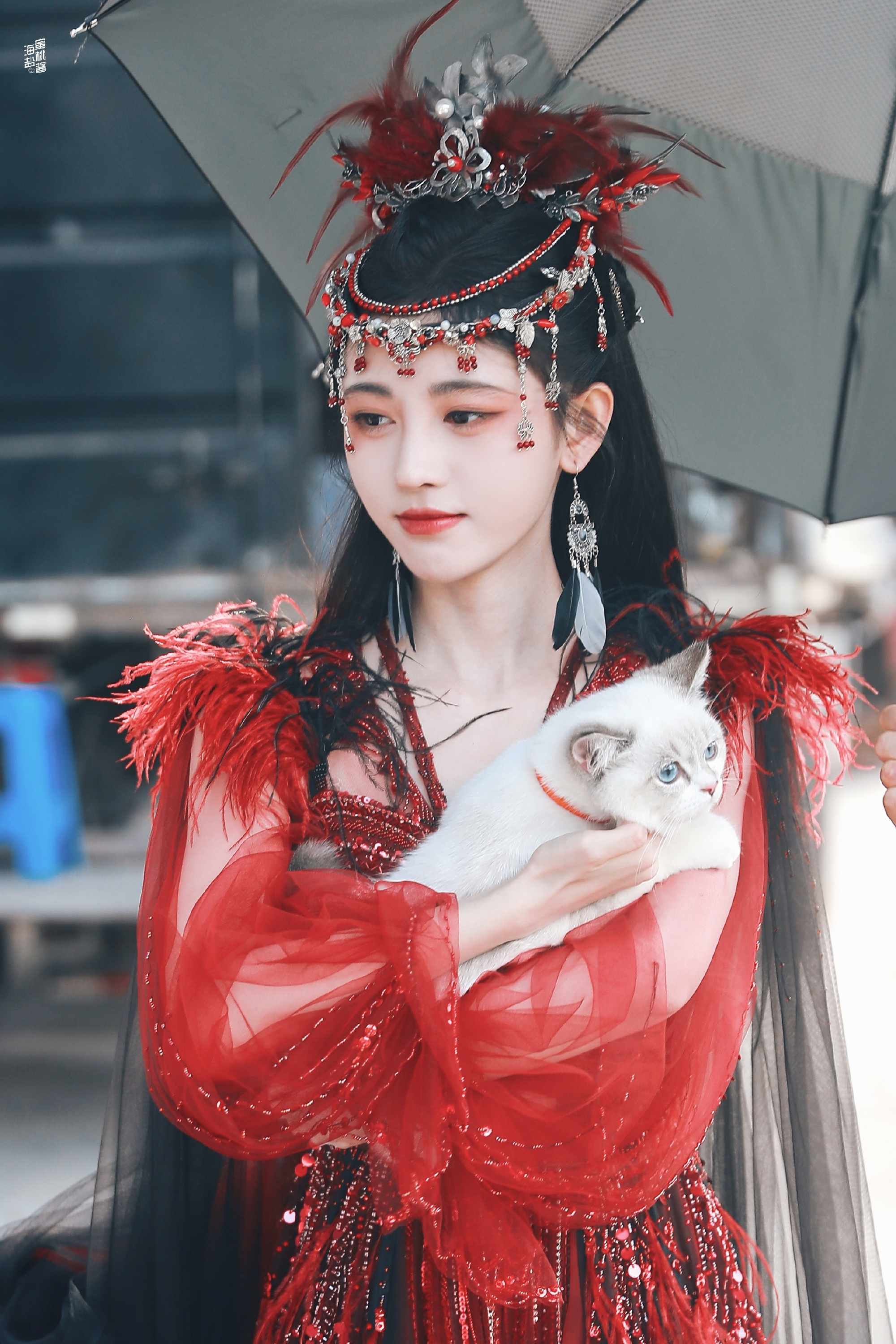 鞠婧祎《花戎》最新造型_高清图集_新浪网