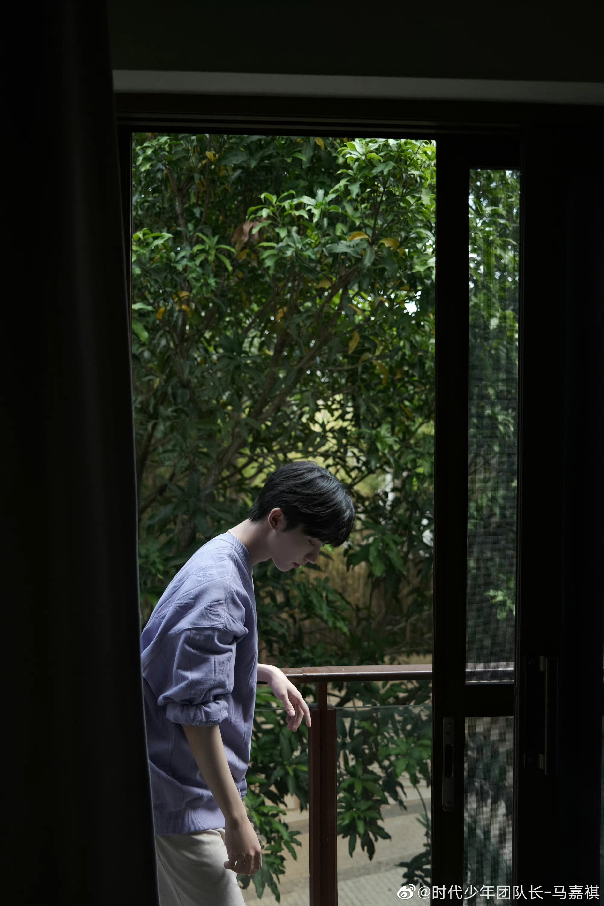 马嘉祺晒九宫格营业图 紫色毛衣出镜,森系氛围感拉满 侧颜好绝啊