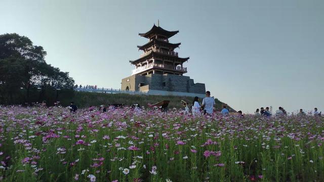 永修吴城望湖亭景区国庆游客爆棚 望湖亭 吴城 永修 新浪新闻